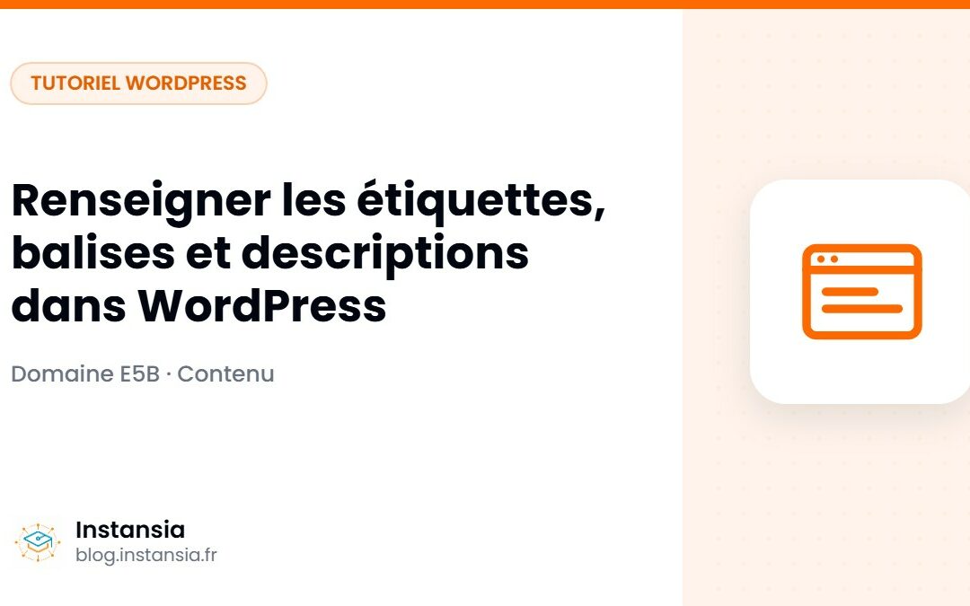 Renseigner les étiquettes, balises et descriptions dans WordPress